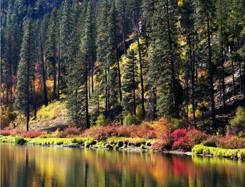 Enjoying the Way to Leavenworth